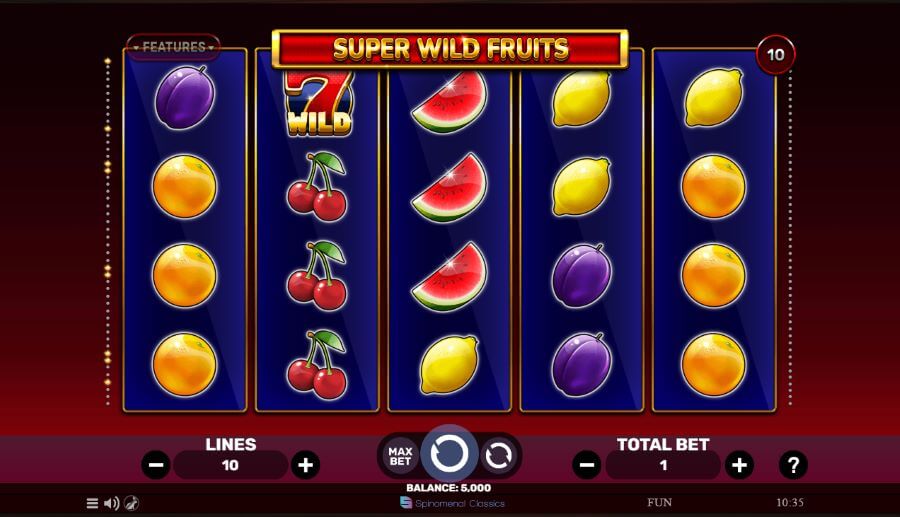 Super Wild Fruits slot.